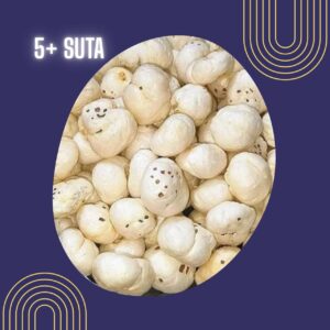 5+ suta phool makhana