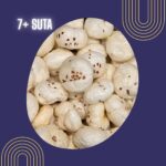 7+ suta phool makhana